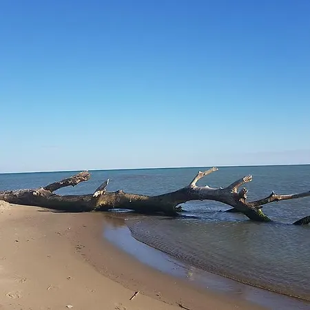 Palatinum Szálloda Metaponto