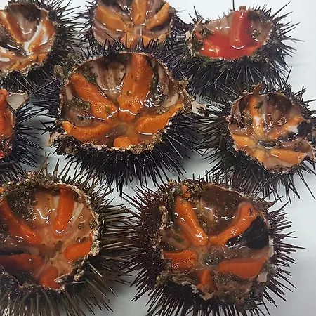 Szálloda Palatinum 3*