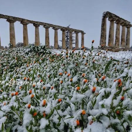 Szálloda Palatinum 3*