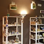 Palatinum 3* Metaponto
