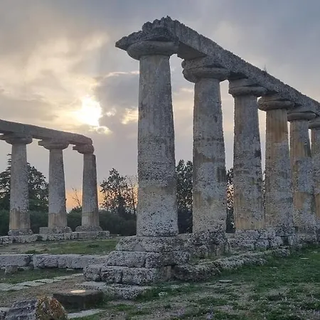 Palatinum מטאפונטו