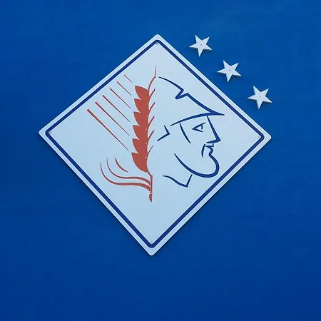 Palatinum מטאפונטו