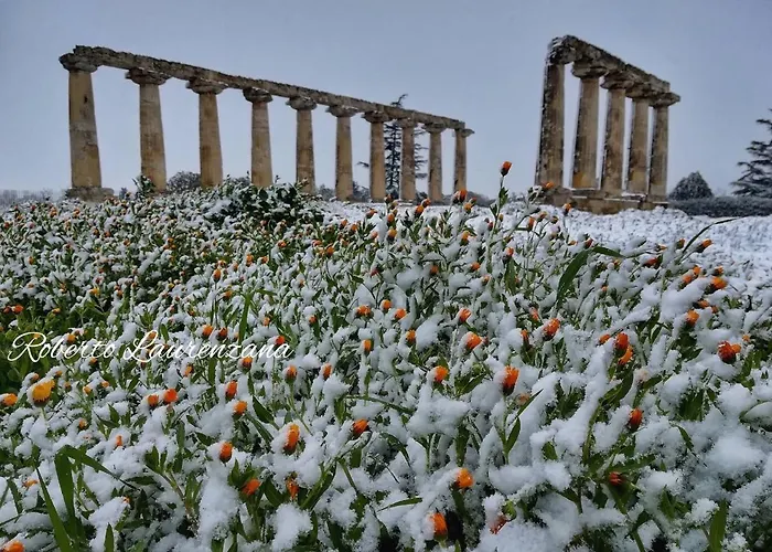 Szálloda Palatinum 3*